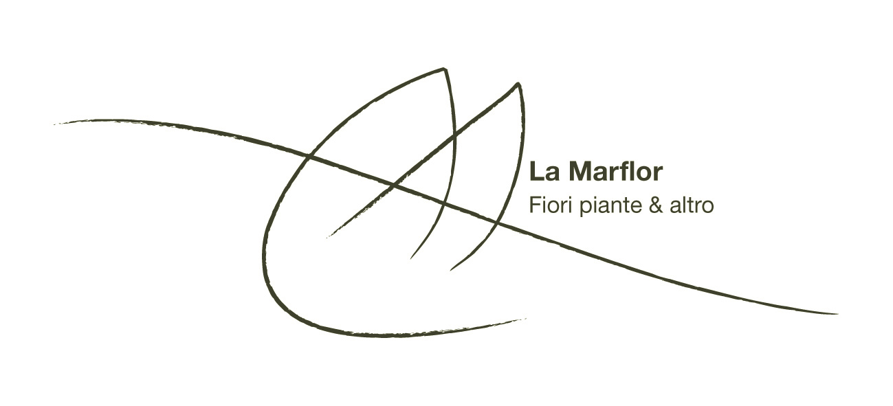 MARFLOR