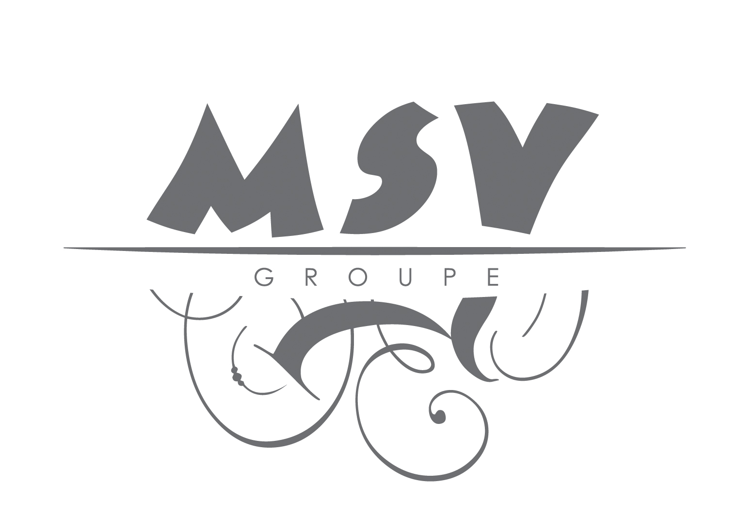 MSV GROUPE