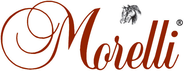 MORELLI STYLE