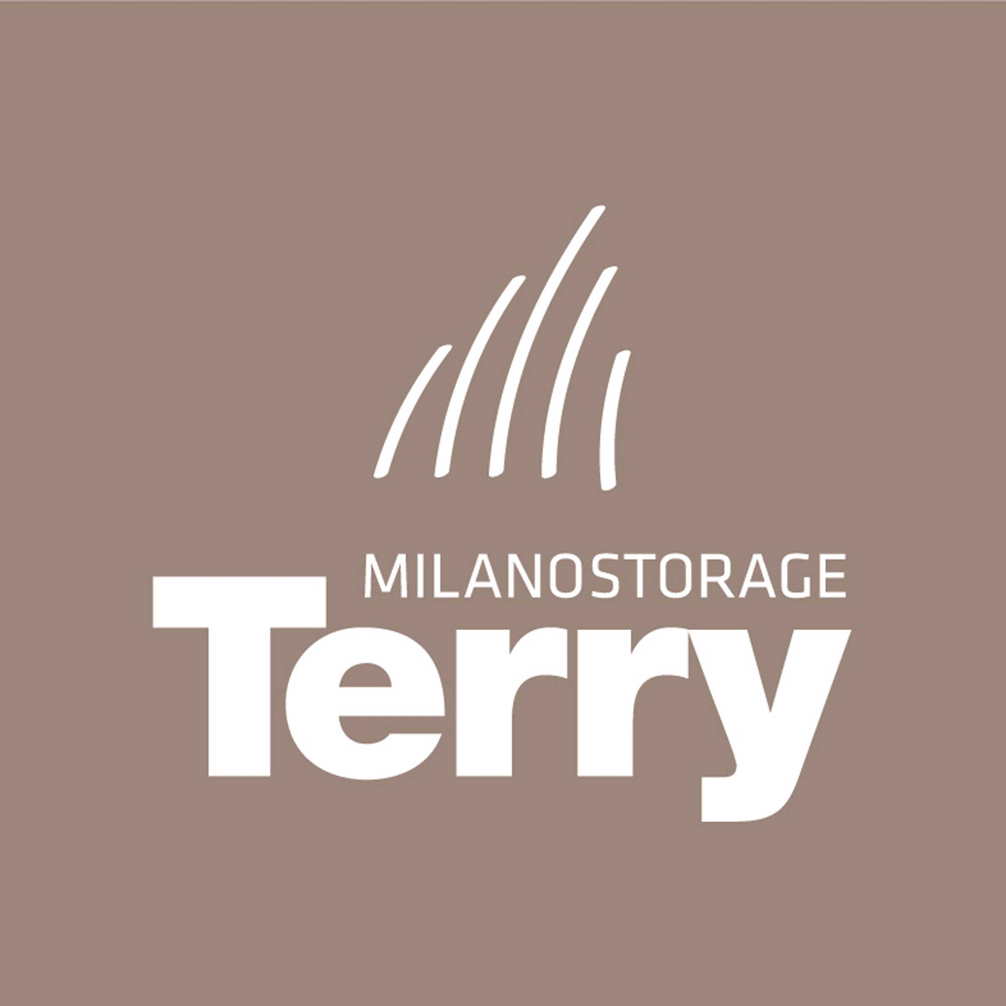 TERRY STORE LOGO